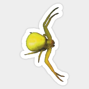 Yellow Crab Spider Sticker